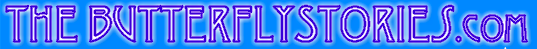 Magnificent Logo